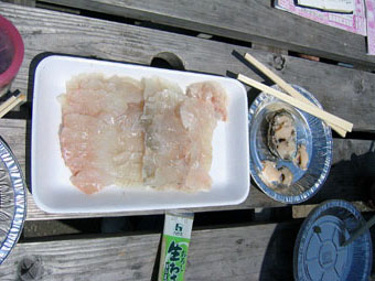 20050803-Flatfishsasimi.JPG