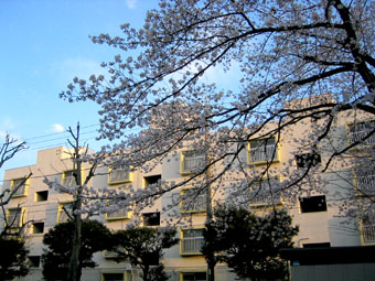 20060329-3.29_02.jpg