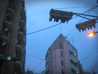 20060608-jyuku02.jpg