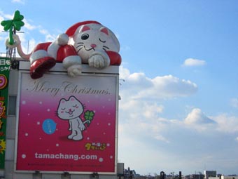 20061203-xmas.jpg
