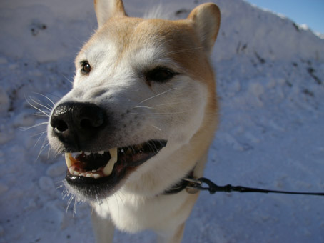 20091225-IMGP7125.JPG