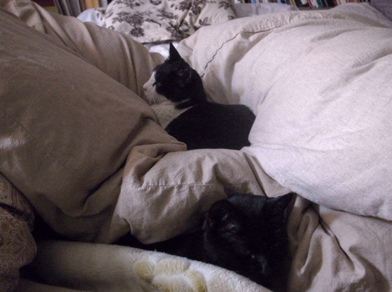 _0020071.jpg