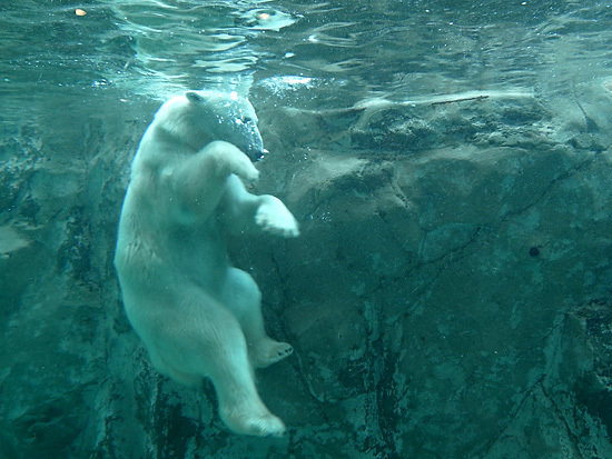 _RIM0089.jpg